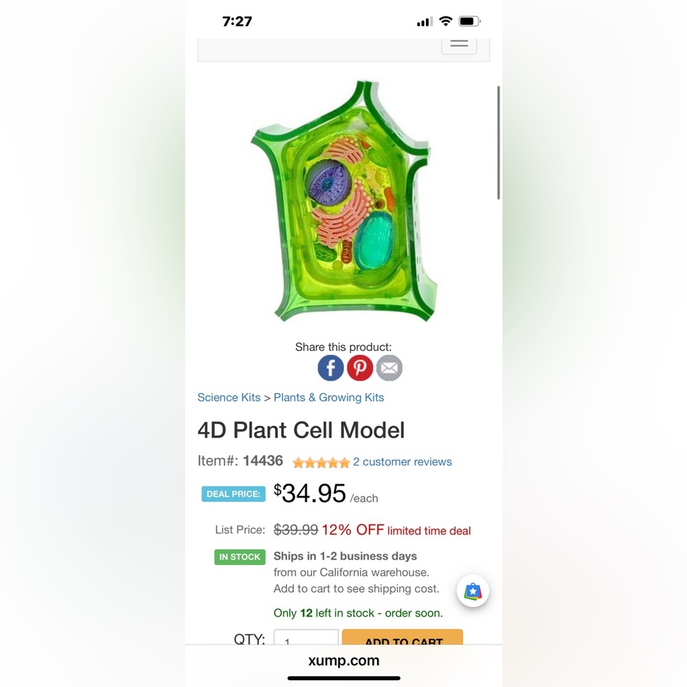 Plant Cell Model by 4D Science - Picture 6 of 6